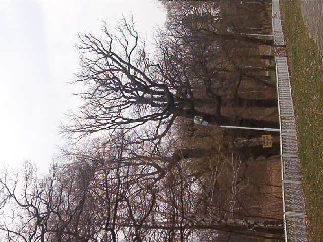 skorzecin_kwiecien_2004 079
